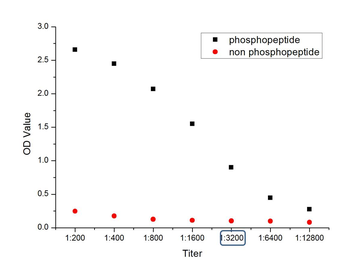 Phospho-FoxO3a (Ser318 + Ser321) Rabbit Polyclonal Antibody