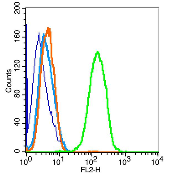 GAB2 Rabbit Polyclonal Antibody