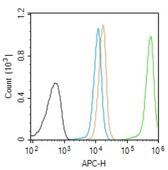 Phospho-GCN2 (Thr899) Rabbit Polyclonal Antibody