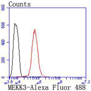 MEKK3 Recombinant Rabbit Monoclonal Antibody