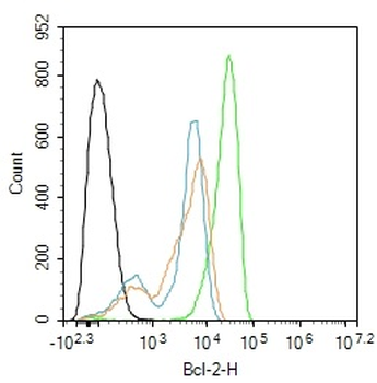 Bcl-2 Mouse Monoclonal Antibody