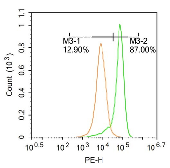 G6PC Rabbit Polyclonal Antibody