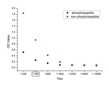 Phospho-Glucocorticoid Receptor (Ser211) Rabbit Polyclonal Antibody