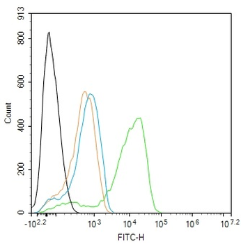 PD-L1 Rabbit Polyclonal Antibody