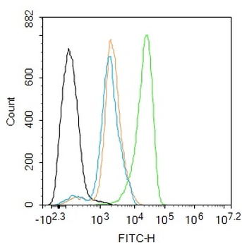 PCNA Recombinant Rabbit Monoclonal Antibody (Nuclear Loading Control)