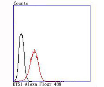 ETS1 Recombinant Rabbit Monoclonal Antibody