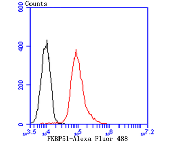 FKBP51 Recombinant Rabbit Monoclonal Antibody