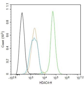 HDAC4 Rabbit Polyclonal Antibody