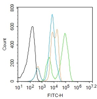 Phospho-H2AX (Ser139) Rabbit Polyclonal Antibody