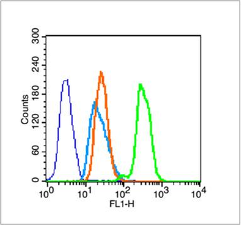 Histone H3 (acetyl K9) Rabbit Polyclonal Antibody