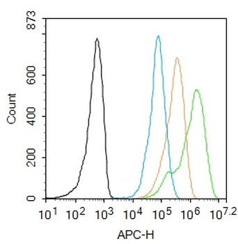 Histone H3 (acetyl K9) Rabbit Polyclonal Antibody