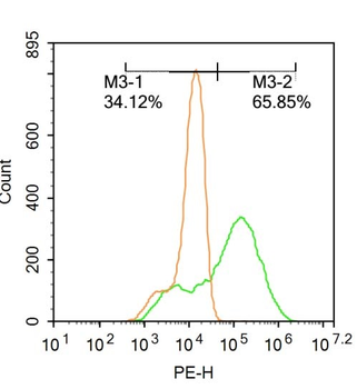 Cardiac Troponin T Rabbit Polyclonal Antibody
