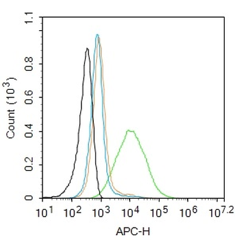 Phospho-IL7R (Tyr449) Rabbit Polyclonal Antibody