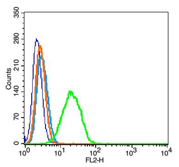 Phospho-IRAK1 (Thr209) Rabbit Polyclonal Antibody