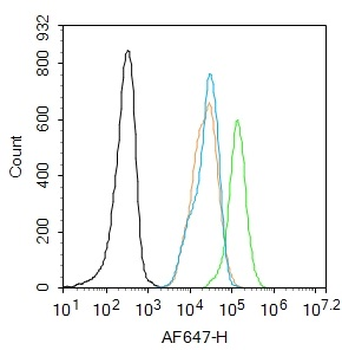 Phospho-IRS1 (Ser789) Rabbit Polyclonal Antibody