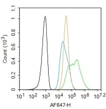 ITGAV Rabbit Polyclonal Antibody