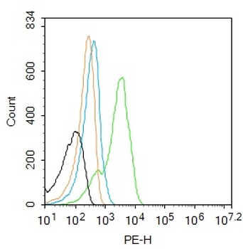KLK11 Rabbit Polyclonal Antibody