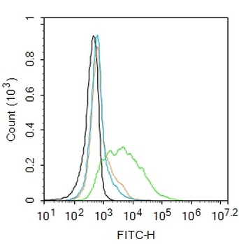 Leptin receptor Rabbit Polyclonal Antibody