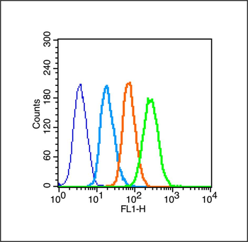 Leptin receptor Rabbit Polyclonal Antibody