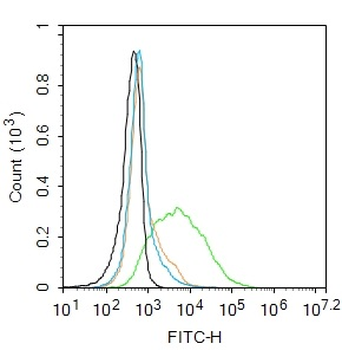 Leptin receptor Rabbit Polyclonal Antibody
