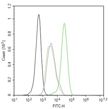LIMK1 Rabbit Polyclonal Antibody
