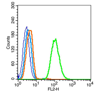 Lipoprotein lipase Rabbit Polyclonal Antibody