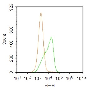 Phospho-LRP6 (Thr1479) Rabbit Polyclonal Antibody