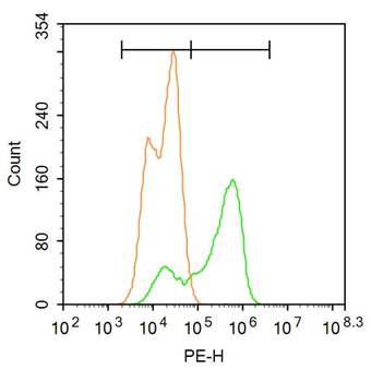 Phospho-DAXX (Ser517) Rabbit Polyclonal Antibody