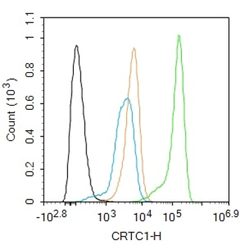 CRTC1 Rabbit Polyclonal Antibody