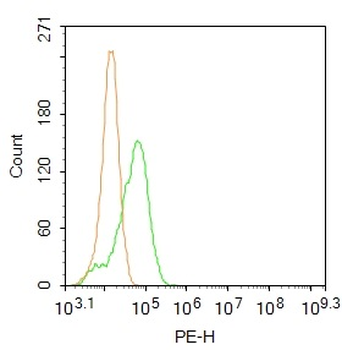 Phospho-MAP3K8 (Ser400) Rabbit Polyclonal Antibody