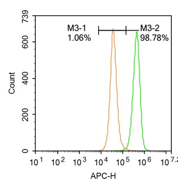 Phospho-TORC2 (Ser171) Rabbit Polyclonal Antibody