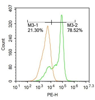 Phospho-MAP4K1 (Ser171) Rabbit Polyclonal Antibody
