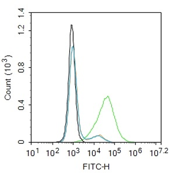 ACE2 Rabbit Polyclonal Antibody