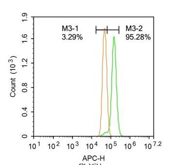 Phospho-MLK3 (Thr277 + Ser281) Rabbit Polyclonal Antibody