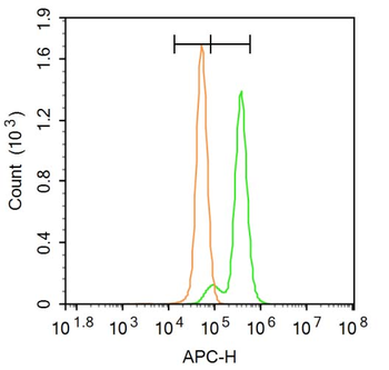 Phospho-MLK3 (Thr277 + Ser281) Rabbit Polyclonal Antibody