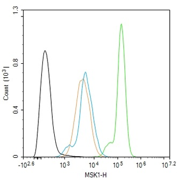 Phospho-MSK1 (Ser212) Rabbit Polyclonal Antibody