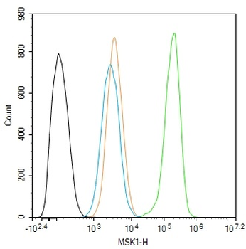 Phospho-MSK1 (Thr581) Rabbit Polyclonal Antibody