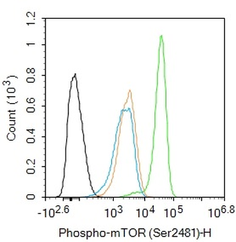 Phospho-mTOR (Ser2481) Rabbit Polyclonal Antibody