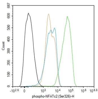 Phospho-NFATc2 (Ser326) Rabbit Polyclonal Antibody