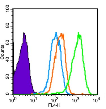 Phospho-CDKN1A/p21 (Thr145) Rabbit Polyclonal Antibody