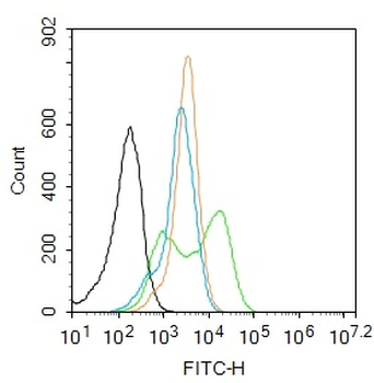 Phospho-CDKN1A/p21 (Thr57) Rabbit Polyclonal Antibody