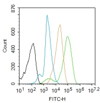 Phospho-p38 MAPK (Thr180 + Tyr182) Rabbit Polyclonal Antibody