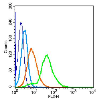 Phospho-MEK7 (Ser271 + Thr275) Rabbit Polyclonal Antibody