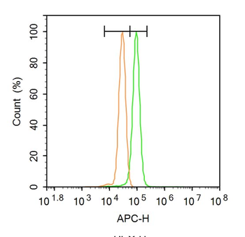 Paxillin Rabbit Polyclonal Antibody