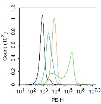 Phospho-PI 3 Kinase p110 delta (Tyr524) Rabbit Polyclonal Antibody