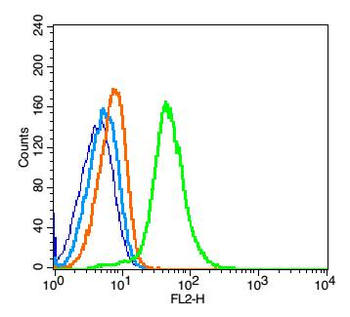 Phospho-PLCB3 (Ser1105) Rabbit Polyclonal Antibody