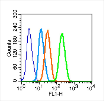 Phospho-PKC delta (Tyr52) Rabbit Polyclonal Antibody