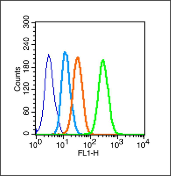 Phospho-PKC delta (Thr505) Rabbit Polyclonal Antibody