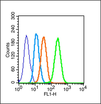 Phospho-PKC delta (Tyr311) Rabbit Polyclonal Antibody
