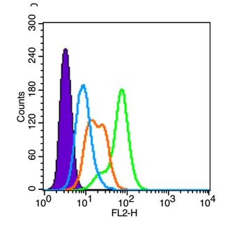 Phospho-PKC delta (Tyr311) Rabbit Polyclonal Antibody